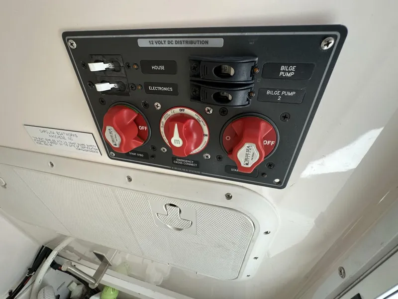 Slide: The Image of Buddy Davis 28 2005 - 5581997