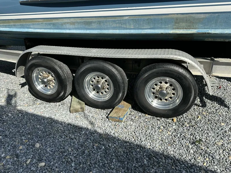 Slide: The Image of Buddy Davis 28 2005 - 5581973