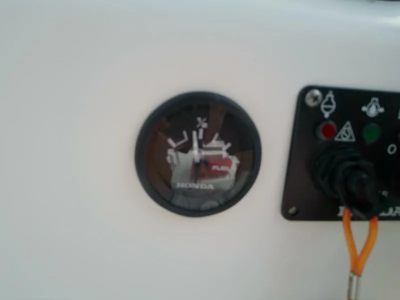 Slide: The Image of Everglades 210 CC 2008 - 5585986