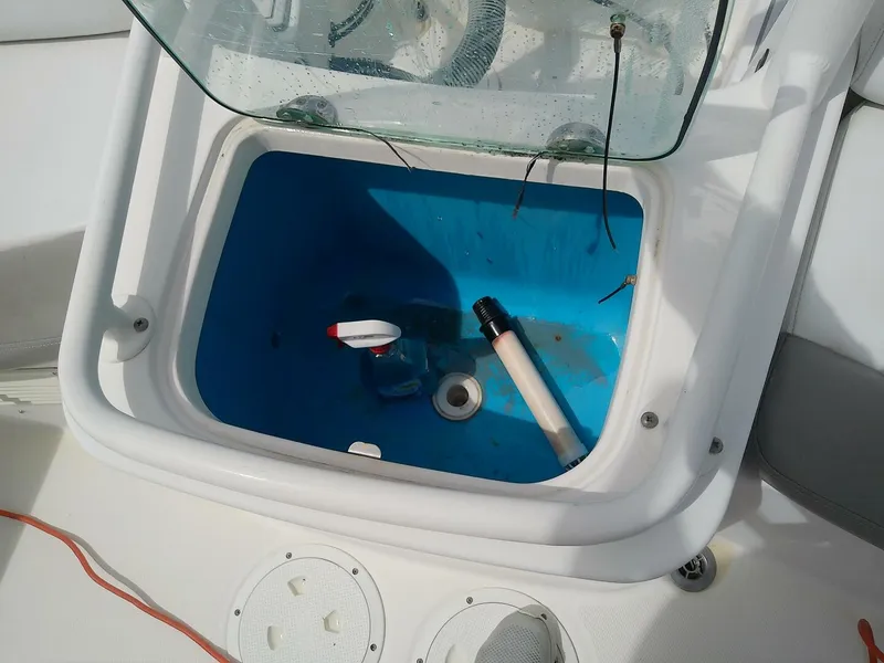 Slide: The Image of Everglades 210 CC 2008 - 5586001