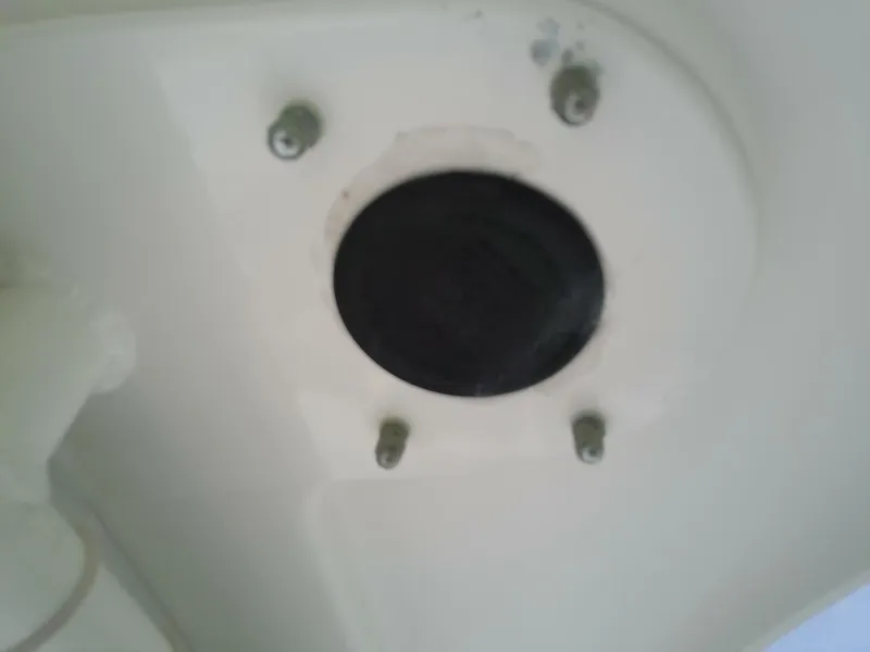 Slide: The Image of Everglades 210 CC 2008 - 5586022