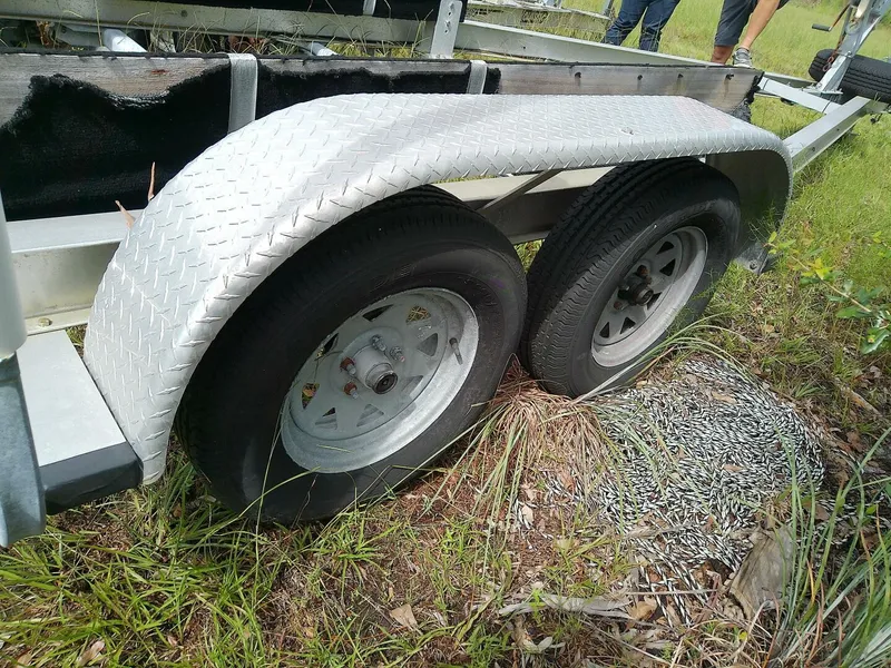 Slide: The Image of Everglades 210 CC 2008 - 5586043