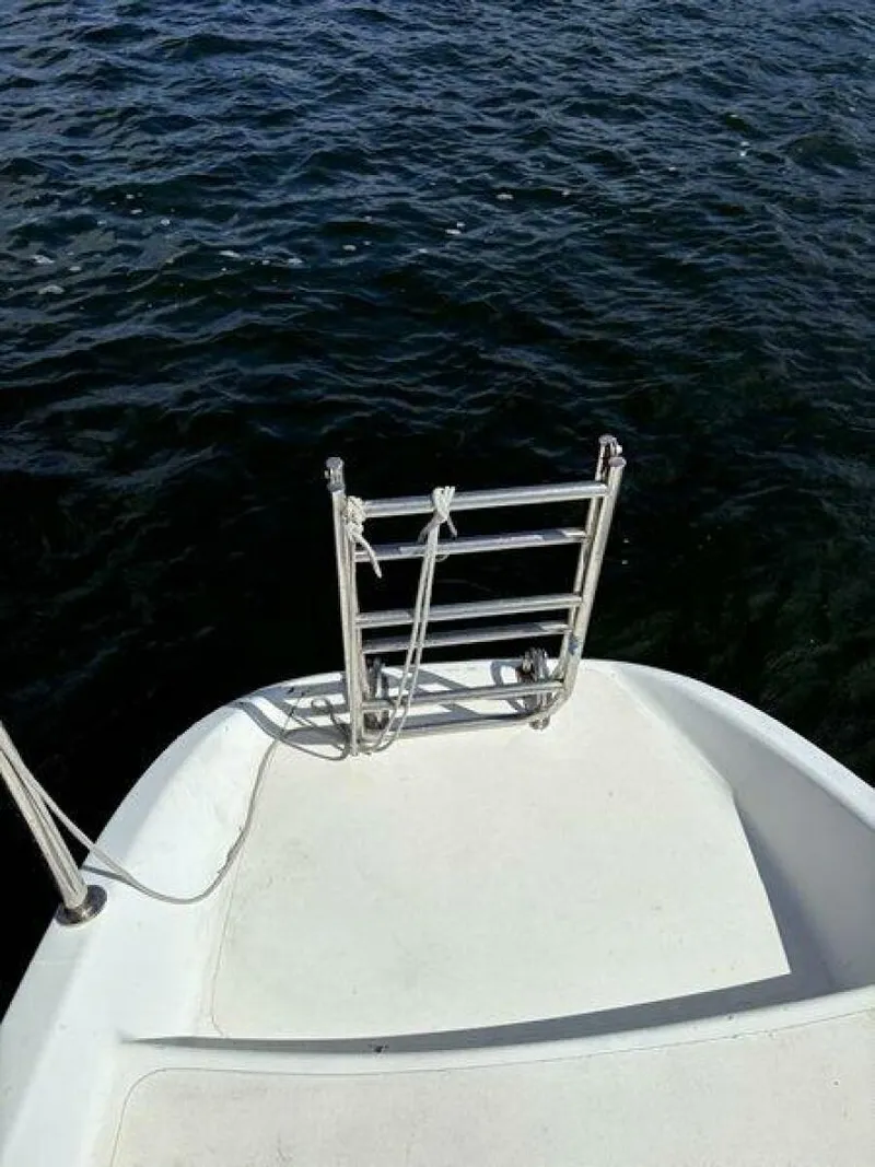 Slide: The Image of Robertson & Caine 47 1998 - 5581212