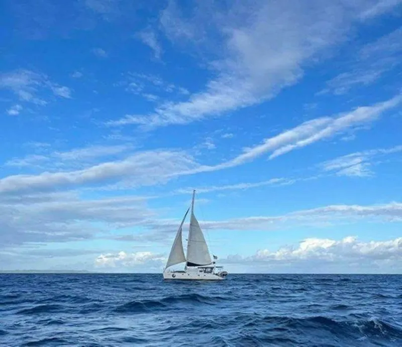 Slide: The Image of Robertson & Caine 47 1998 - 5581217