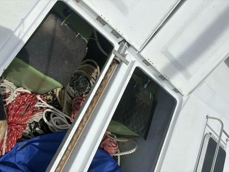 Slide: The Image of Robertson & Caine 47 1998 - 5581244