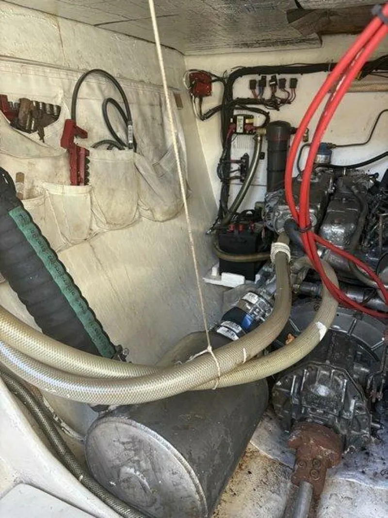 Slide: The Image of Robertson & Caine 47 1998 - 5581249