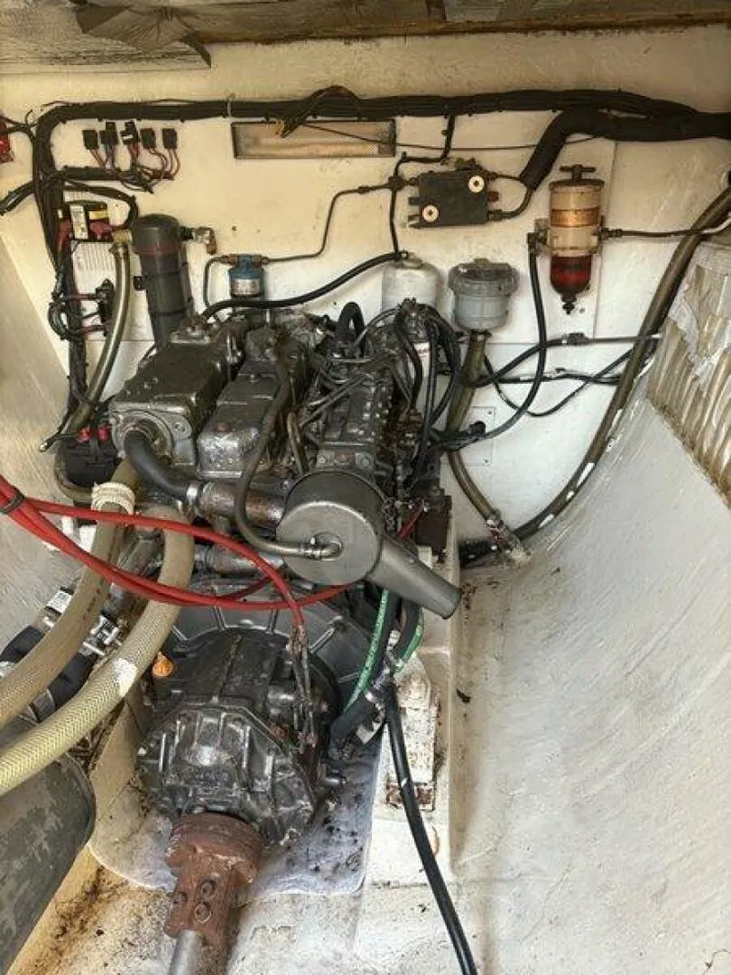 Slide: The Image of Robertson & Caine 47 1998 - 5581250