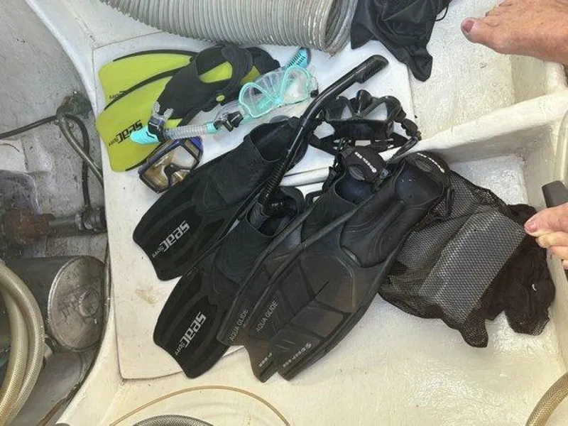 Slide: The Image of Robertson & Caine 47 1998 - 5581255