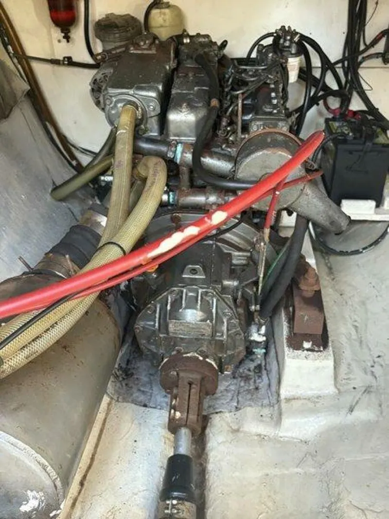 Slide: The Image of Robertson & Caine 47 1998 - 5581257