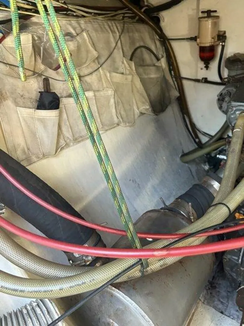 Slide: The Image of Robertson & Caine 47 1998 - 5581258