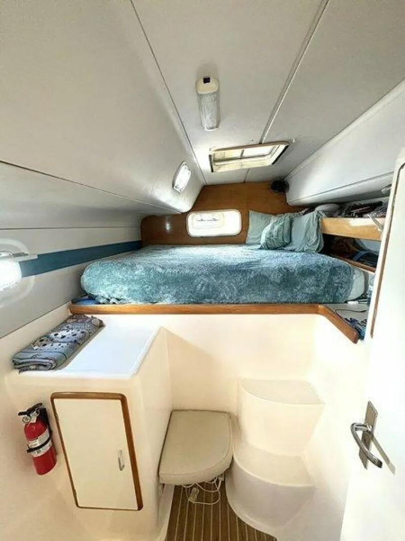 Slide: The Image of Robertson & Caine 47 1998 - 5581279