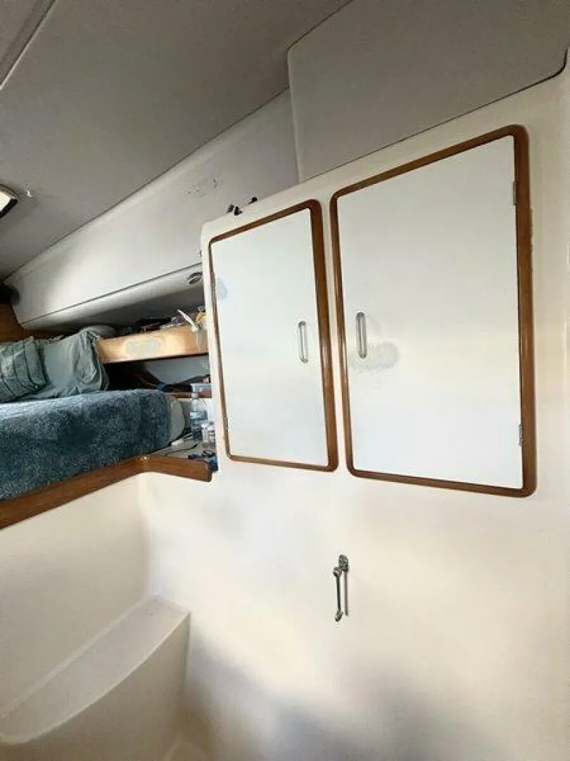 Slide: The Image of Robertson & Caine 47 1998 - 5581280