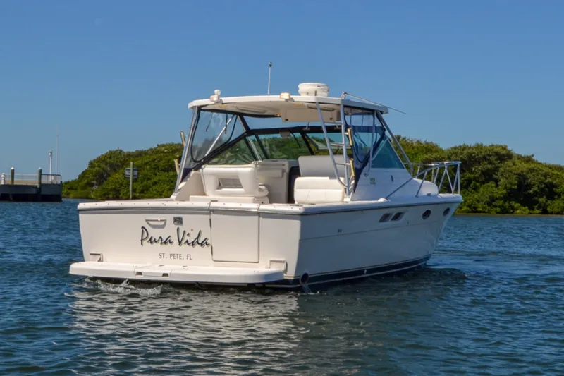 Slide: The Image of Swim Platform - 5582558