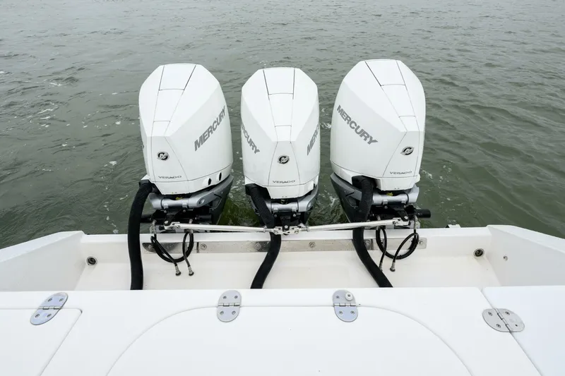 Slide: The Image of Venture 39 Cuddy 2008 - 5674568