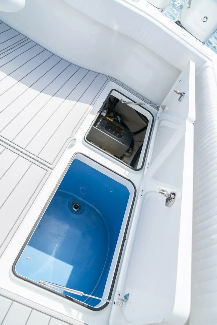 Slide: The Image of Freeman 42LR 2017 - 5589788