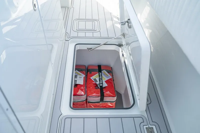 Slide: The Image of Freeman 42LR 2017 - 5589791