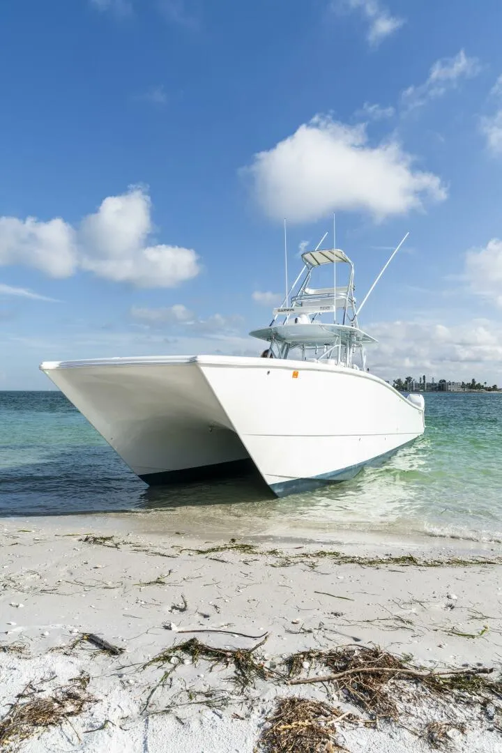 Slide: The Image of Freeman 42LR 2017 - 5588450