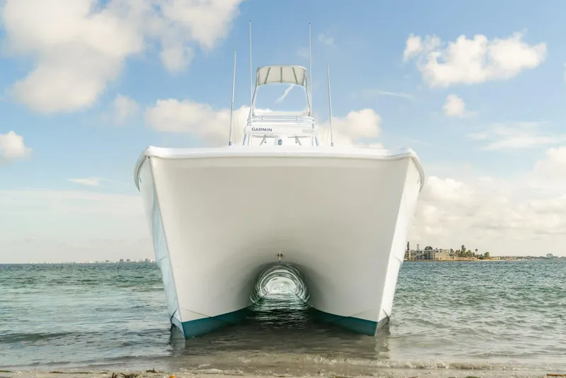 Slide: The Image of Freeman 42LR 2017 - 5588452