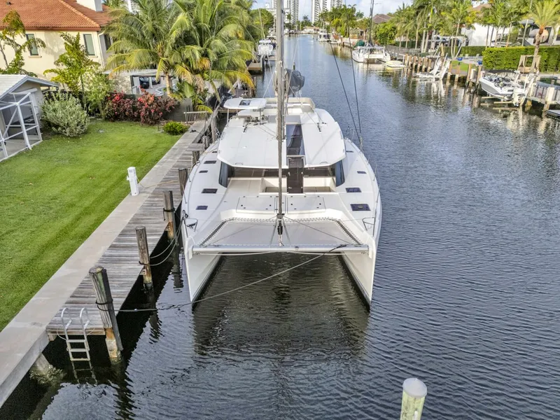 Slide: The Image of Leopard 50 2021 - 5587996