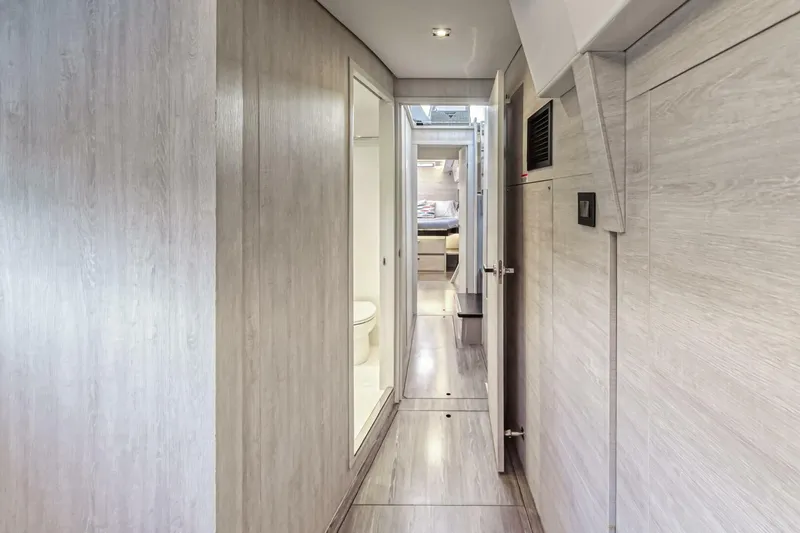 Slide: The Image of Leopard 50 2021 - 5588147