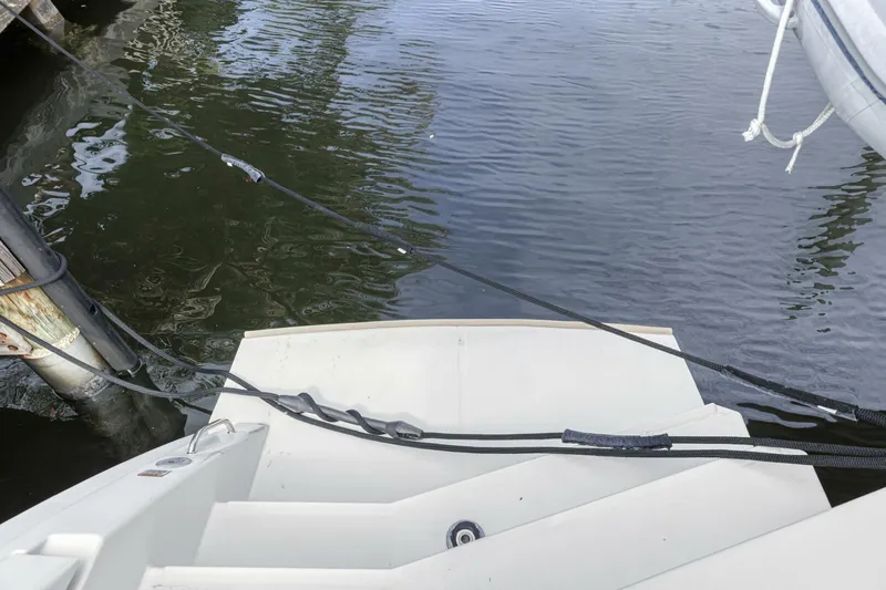 Slide: The Image of Leopard 50 2021 - 5588018