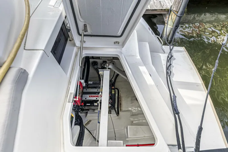 Slide: The Image of Leopard 50 2021 - 5588022