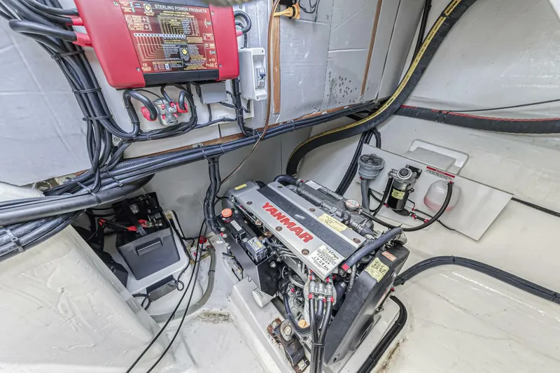 Slide: The Image of Leopard 50 2021 - 5588023