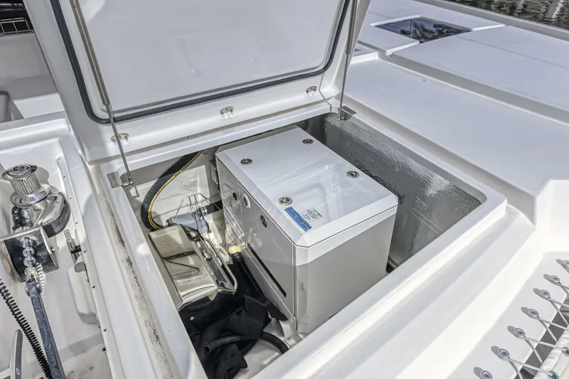 Slide: The Image of Leopard 50 2021 - 5588050