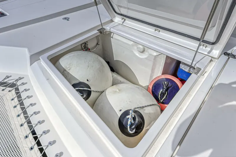 Slide: The Image of Leopard 50 2021 - 5588051