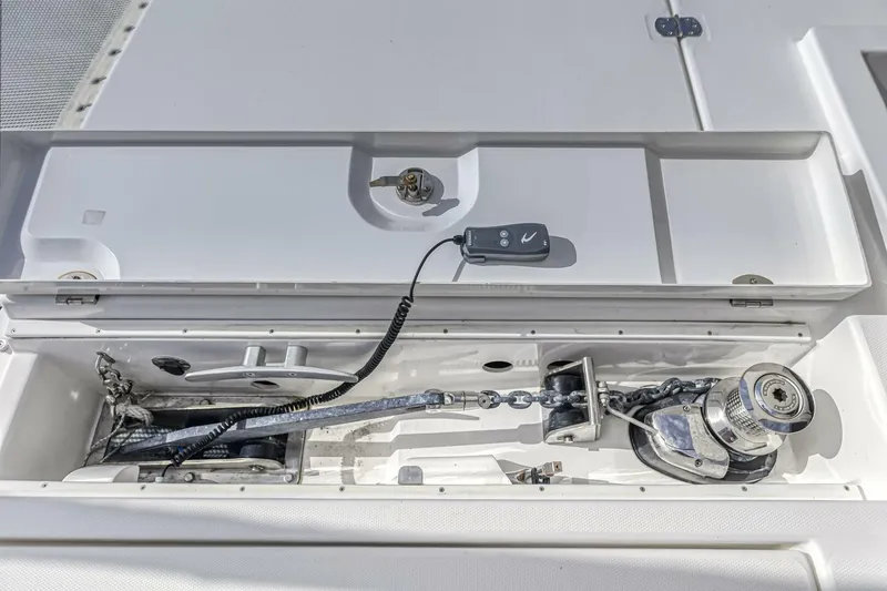 Slide: The Image of Leopard 50 2021 - 5588052