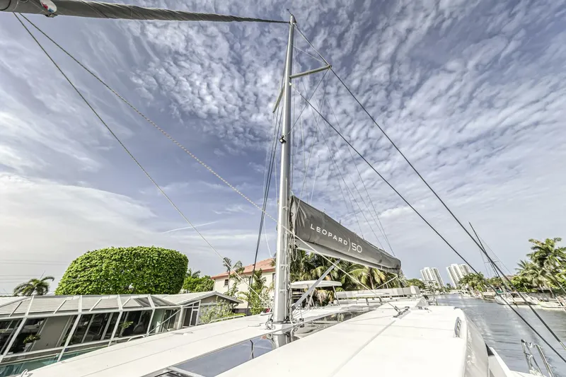 Slide: The Image of Leopard 50 2021 - 5588056