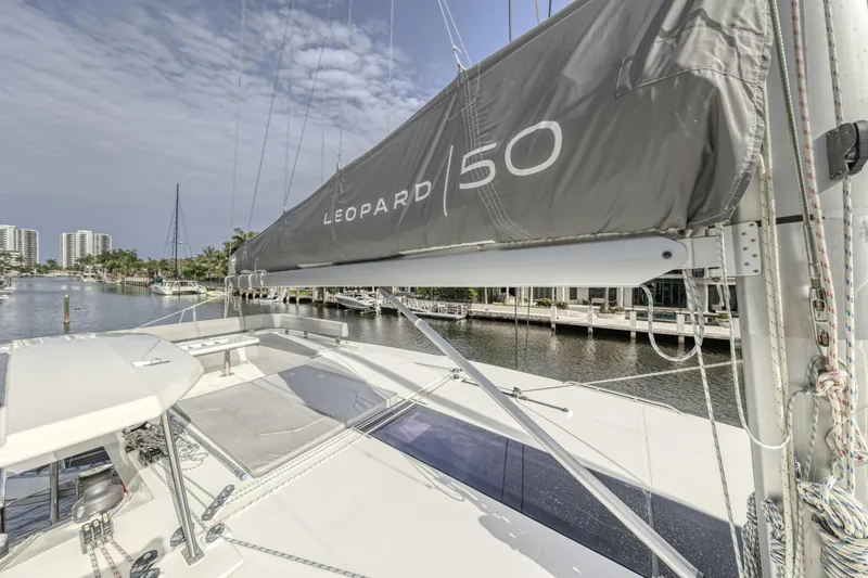 Slide: The Image of Leopard 50 2021 - 5588075