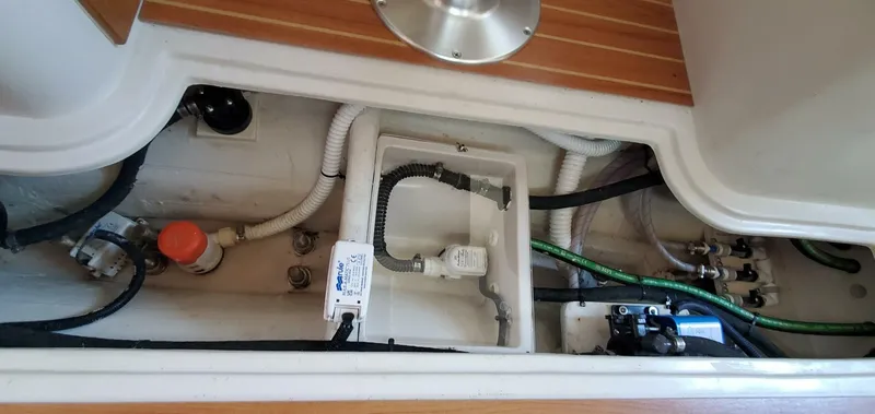 Slide: The Image of Catalina 355 2024 - 5591248