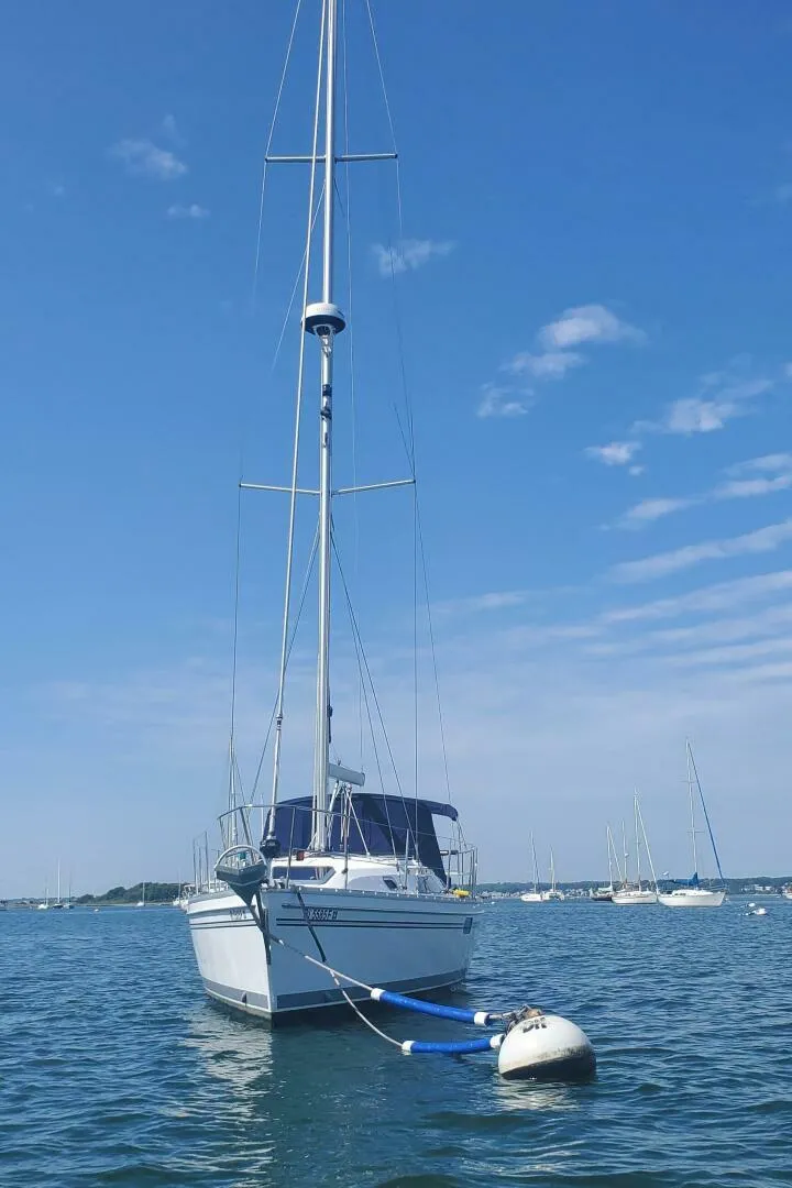 Slide: The Image of Catalina 355 2024 - 5591226