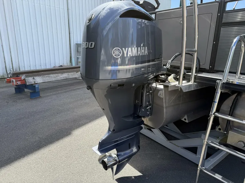 Slide: The Image of Angler 8526 2023 - 5592898