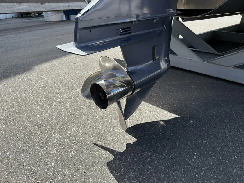 Slide: The Image of Angler 8526 2023 - 5592899