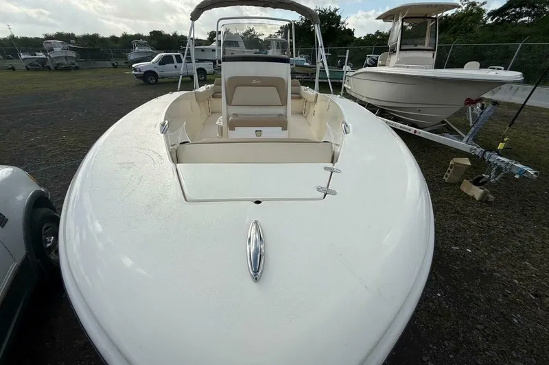 Slide: The Image of Scout 195 Sportfish 2026 - 5593442