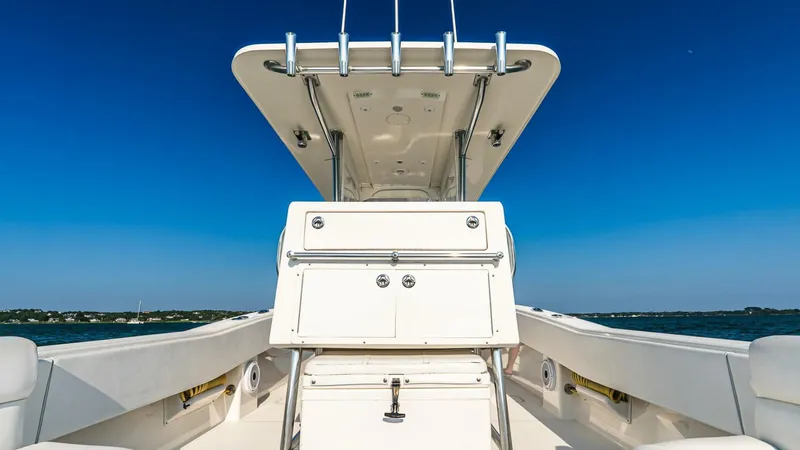 Slide: The Image of Invincible 33 Open Fisherman 2016 - 5594243