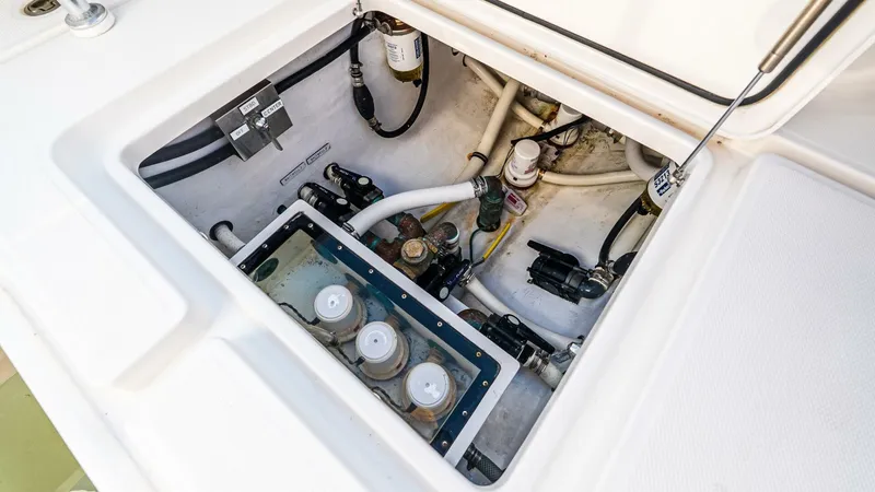 Slide: The Image of Invincible 33 Open Fisherman 2016 - 5594246