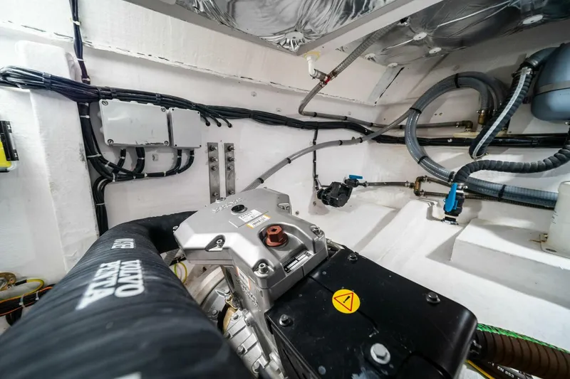 Slide: The Image of Pardo 43 2024 - 5608757