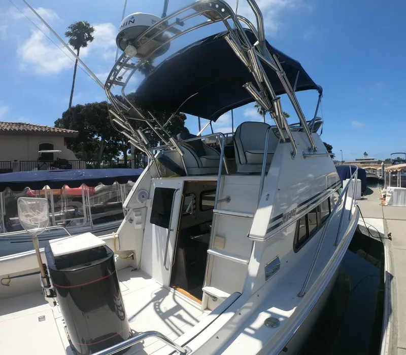 Slide: The Image of Skipjack 26 1997 - 5595494