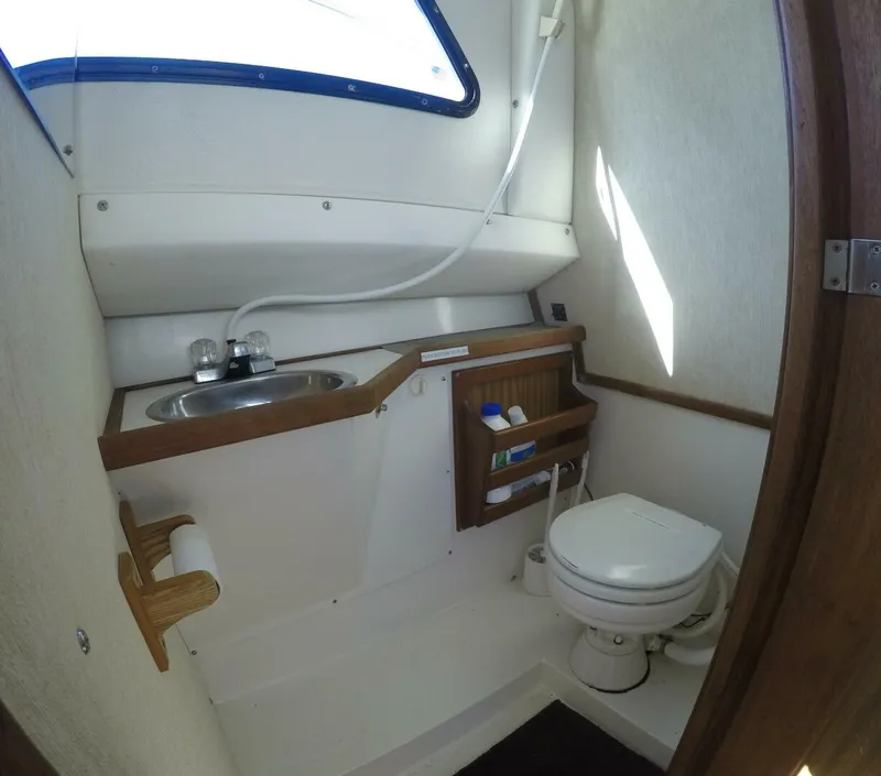 Slide: The Image of Skipjack 26 1997 - 5595537