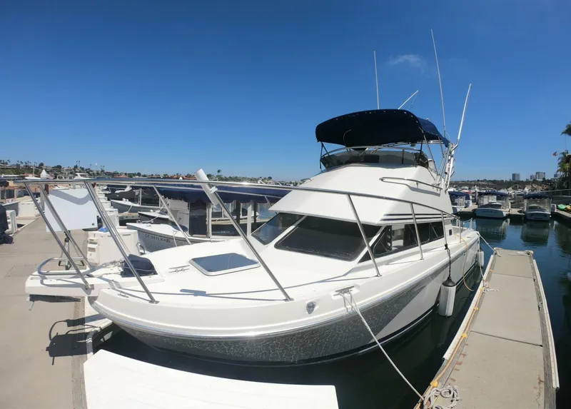 Slide: The Image of Skipjack 26 1997 - 5595489