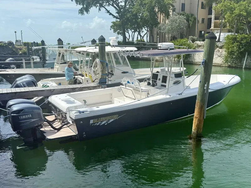 Slide: The Image of Bluewater 2850 2003 - 5595735