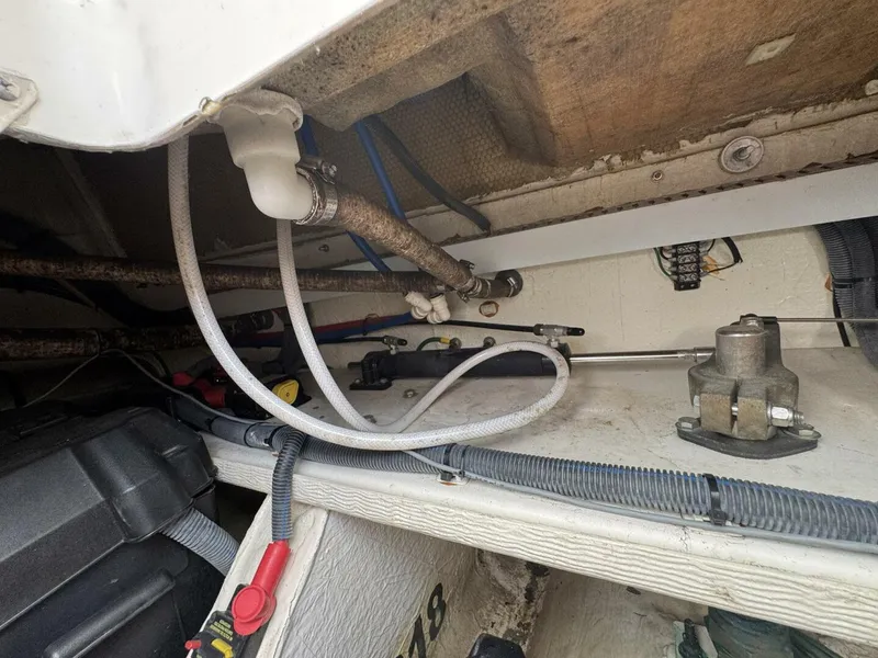 Slide: The Image of Back Cove 30 2013 - 5600041