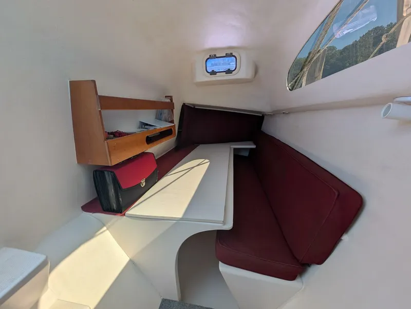 Slide: The Image of Maine Cat 30 2007 - 5600667