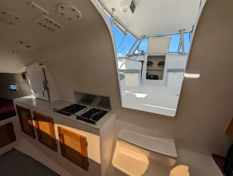 Slide: The Image of Maine Cat 30 2007 - 5600669