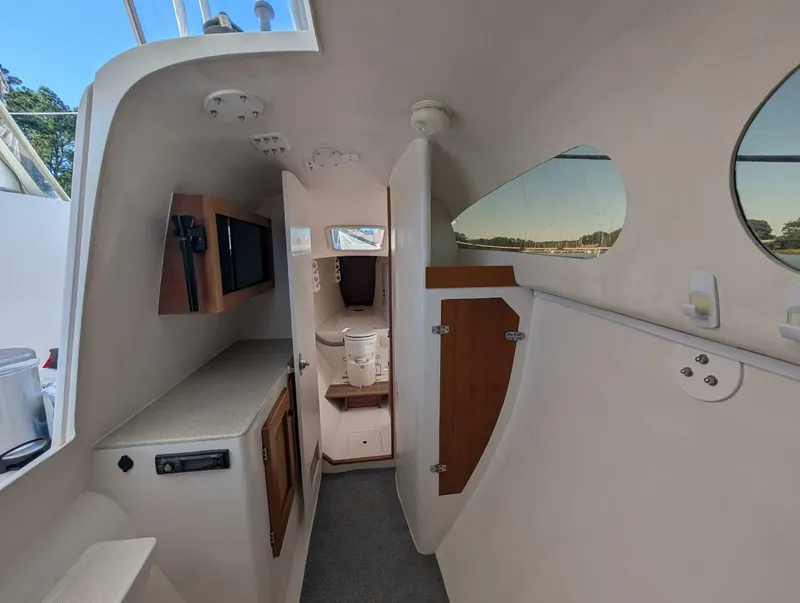 Slide: The Image of Maine Cat 30 2007 - 5600671