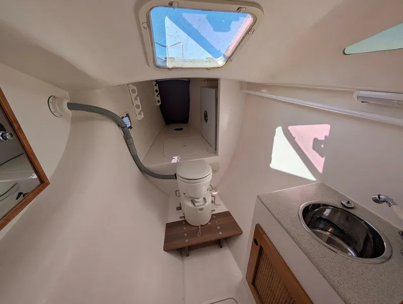 Slide: The Image of Maine Cat 30 2007 - 5600672