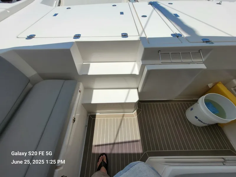 Slide: The Image of Leopard 45 2022 - 5601036